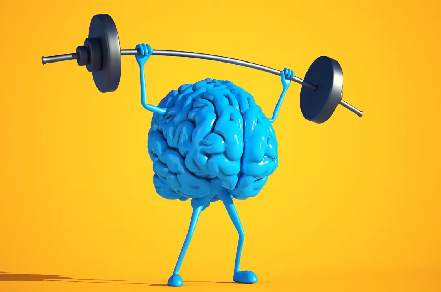 Brain exercise