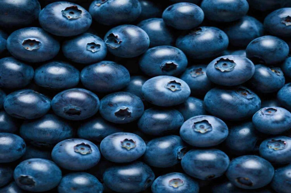 blueberry