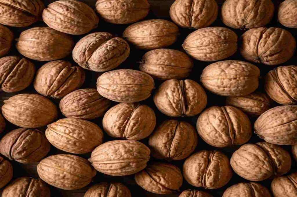 walnut
